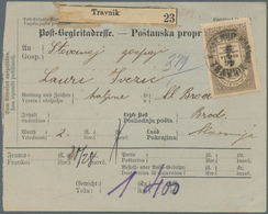 Bosnien Und Herzegowina (Österreich 1879/1918): 1899. Bilingual Parcel Card (German And Croatian), A - Bosnien-Herzegowina