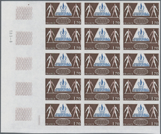 Frankreich: 1978, 30 Years Proclamation Of Human Rights 1.70fr. IMPERFORATE Block Of 15 From Lower L - Lettres & Documents