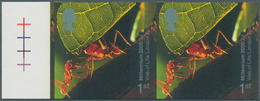 Großbritannien: 2000, 1st South American Leafcutter Ants, Imperforated Horizontal Pair With Left Mar - Autres & Non Classés