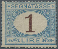 Italien - Portomarken: 1874, 1l. Blue/brown, Fresh Colour, Normally Perforated With Some Flat Perfs - Taxe