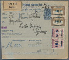 Jugoslawien: 1918. 10f Blue/green "Crown" Type Old Hungarian COD Parcel Card, Accompanying A Parcel - Ongebruikt