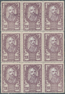 Jugoslawien: 1920 (15 May). “Chainbreakers”. King Peter I High Value. 20K Purple/flesh (burelage Of - Unused Stamps