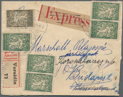 Jugoslawien: 1920 Smaller Letter Registered And Despatched Express To BUDAPEST Franked With 5p Olive - Unused Stamps