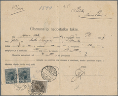 Jugoslawien: 1927, "Obznava O Nedstatku Takse" (NOTICE OF SHORTFALL OF POSTAGE) For 2 Kg. Parcel, CO - Ungebraucht