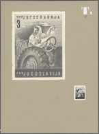 Jugoslawien: 1950. Definitive Issue. Artist's Works: 0.50 Din, Pencil Drawing, In Shades Of Grey On - Unused Stamps