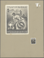 Jugoslawien: 1950. Definitive Issue. Artist's Works: 0.50 Din, Pencil Drawing, In Shades Of Grey On - Neufs