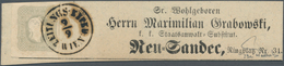 Österreich: 1861, (1,05 Kreuzer) Hellgrau Zeitungsmarke, Allseits Voll- Bis überrandig, Entwertet Mi - Ungebraucht