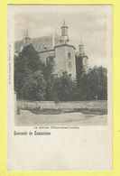 * Ecaussines Lalaing (Hainaut - La Wallonie) * (Ed Nels, Série 4, Nr 53) Chateau D'Ecaussinnes Lalaing, Kasteel, Rare - Ecaussinnes