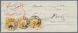 Schweden: 1864 Cover From Stockholm To The Hague Via Hamburg, Franked By 'Coat Of Arms' 24øre Pair A - Neufs