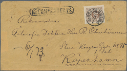 Schweden: 1872 30øre Brown Used On Part Registered Cover (front Only) From Stockholm To Copenhagen, - Ongebruikt