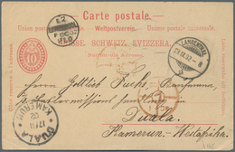 Schweiz - Ganzsachen: 1902. Switzerland Postal Stationery Card 10c Carmine Cancelled By Langenthal D - Postwaardestukken
