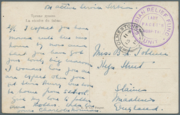 Serbien: 1915. Stampless Picture Post Card 'la Récolte Du Tabac' Written From Skoplje Addressed To E - Serbien