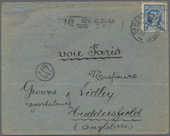 Serbien: 1919, King Peter I./Crown Prince Alexander 25pa. Blue, Single Franking On Cover From "SKOPJ - Servië