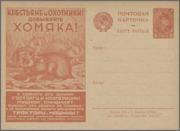 Sowjetunion - Ganzsachen: 1930, Picture Postcard Catch The Hamster, Unused. - Non Classés