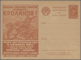 Sowjetunion - Ganzsachen: 1930, Picture Postcard, Farmers Breed Hares, Unused. - Non Classés