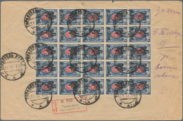 Ukraine: 1918, 20 K On 14 K Blue/rose With "Trident" Overprint, Block Of 25 Stamps, Multiple Mass Fr - Ukraine