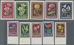 Ungarn: 1950, Postfrische Ungezähnte Sätze "Ungarische Flora" Und "Einheimische Flora" Diese Mit Unt - Covers & Documents