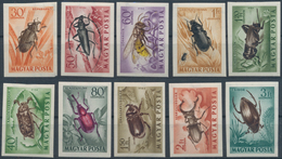 Ungarn: 1953, Zwei Postfrische, Ungezähnte Luxussätze "Fauna" Und "Insekten", Satz Insekten Randstüc - Lettres & Documents