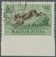 Ungarn: 1953, Fauna Hare 40 F Below Unperforated, Neat Canceled, (Mi. -, -). - Lettres & Documents