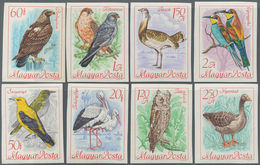 Ungarn: 1962/1068, 2 Postfrische Geschnittene Sätze "Raubvögel" (mit Oberrrand) Und "Internationaler - Lettres & Documents