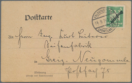Deutsches Reich - Dienstmarken: 1924, 5 Pfg. Lebhaftgrün Mit KOPFSTEHENDEM Aufdruck "Dienstmarke", P - Dienstzegels