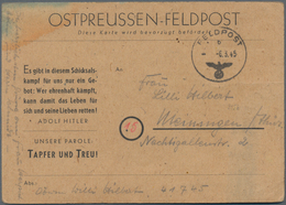 Feldpost 2. Weltkrieg: 1945, Ostpreußen-Feldpostkarte Auf Gelbbeigen Karton Bedarfsgebraucht Mit Nor - Autres & Non Classés