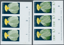 DDR: 1970, Kakteen 10 Pf. 'Bischofsmütze (Astrophytum Myriostigma)' In 4 Verschiedenen Ungezähnten W - Other & Unclassified