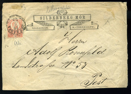 SZABADKA 1874. Silberberg , Dekoratív Céges Levél Pestre Küldve  /  1874 Silberger Decorative Corp. Letter To Pest - Used Stamps