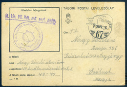 II. VH Tábori Lap M.kir. VII. Honvéd Hadtest Műszaki Oszlop Bélyegzéssel  /  WW II FPO Card Homeguard Engineer Column Pm - Lettres & Documents