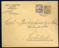 BUDAPEST 1902. Céges Levél 6+4f Ritka Bérmentesítéssel Ausztriába , Lőwy& Schnitzer  /  1902 Corp. Letter 6+4 F Rare Fra - Used Stamps
