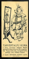 SZÁMOLÓ CÉDULA  Régi Reklám Grafika , Mühlbeck Károly  /  COUNTING CARD Vintage Adv. Graphics, Károly Mühlbeck - Zonder Classificatie