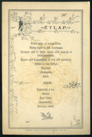 MENÜKÁRTYA 1893. Debrecen  /  MENU CARD - Zonder Classificatie