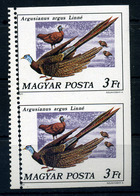 1977. Pávák 3ft Vágott Pár, Bal Oldalon Kettős Fogazással!!  /  Peacocks 3 Ft Cut Pair Double Perforation On Left - Ongebruikt