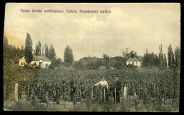 KECSKEMÉT 1921. Szikra, Szász István Szőlőtelepe Fantó Fényképész Felvétele , Régi Képeslap  /  1921 Vineyards Of István - Hongarije