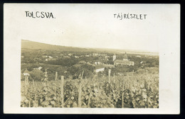 TOLCSVA 1915. Cca. Tájrészlet, Szőlő Fotós Képeslap  /  Ca 1915 Country Detail, Vineyards Photo Vintage Pic. P.card - Hongarije