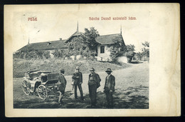 Pele, Becheni 1911. Sántha Dezső Szüretelő Háza, Hintó / Grape Harvesting House, Cart - Hongarije