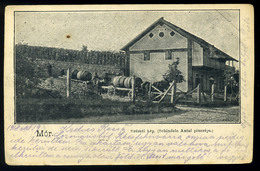 MÓR 1900. Szüreti Kép, Régi Képeslap  /  1900 Harvest Vintage Pic. P.card - Hongarije