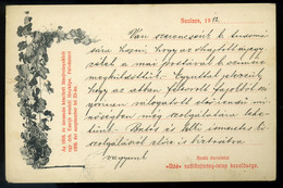 SZALACS / Salacea; Az 1908. év Tavaszán Készített Fás Oltványokból Egy Darab Ezerjó Eredeti Fényképe. Nóé Szőlőoltvány-t - Hongarije