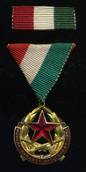 Munkás-Paraszt Hatalomért Emlékérem Dobozában  /  Worker Peasant Power Memorial Medal In Box - Army