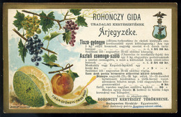 BUDAPEST 1900. Rohonczy Gida, Uradalmi Kertészete, Ritka, Reklám Képpeslap, árjegyzék  /  Garden Estate Rare Adv. Pic. P - Hongarije