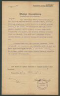 TANÁCSKÖZTÁRSASÁG Pestszentlőrinc Direktóriuma Régi Dokumentum  /  SOVIET REPUBLIC Directorate Vintage Document - Zonder Classificatie