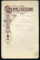 MENÜKÁRTYA 1902. Pancsova , Grand Hotel Hungaria  /  MENU CARD 1902 Grand Hotel Hungaria - Unclassified