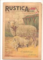 RUSTICA N°49 Du 09/12 1951 L'agnelage D'hiver - Animaux