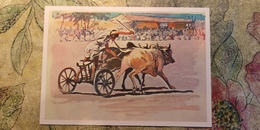 Regional Game,OLD USSR Postcard  - Bull Race  In India - - 1981 - Juegos