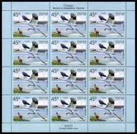 RUSSIA RUSIA RUSSIE RUSSLAND 2019 EUROPA BIRDS Sheetlet Of 12 Stamps ** - 2019