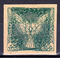 (*) Tchécoslovaquie 1919 Mi 13 (YvTPJ 1), Double Impression - Proofs & Reprints