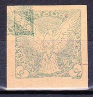 (*) Tchécoslovaquie 1919 Mi 13 (Yv TPJ 1), Recto-verso - Proofs & Reprints