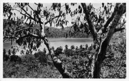 Mayotte / 02 - Pomanzi - Lac Dziani - Mayotte