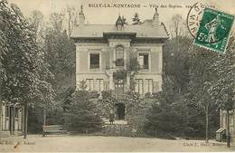 51 Rilly La Montagne : Villa Des Sapins - Rilly-la-Montagne