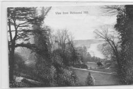 View From Richmond Hill - Surrey